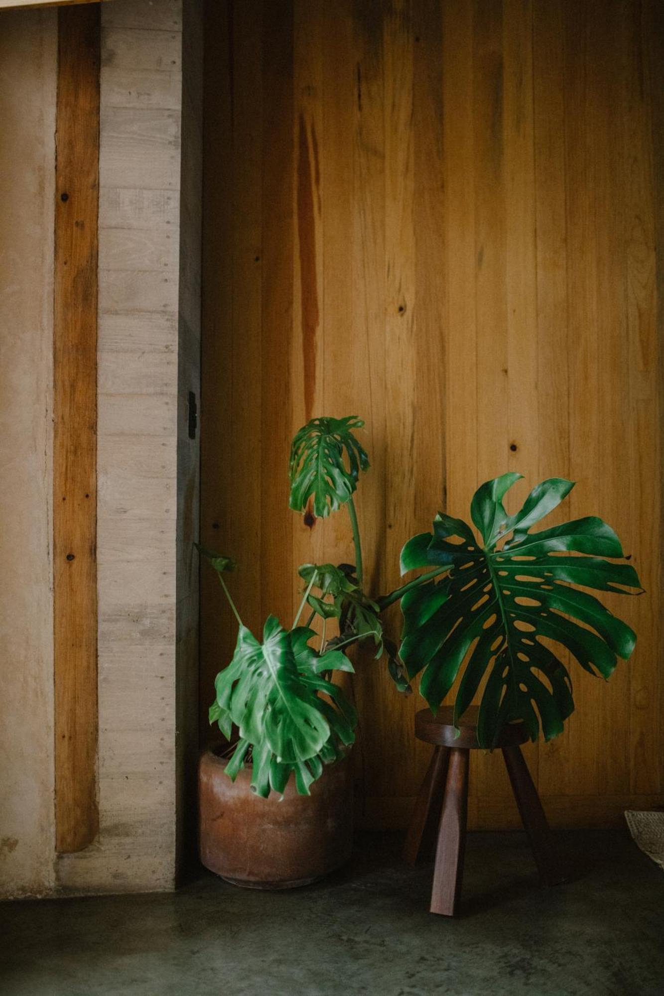 Hotel Escondido Oaxaca, A Member Of Design Hotels Экстерьер фото